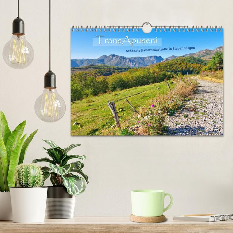 Produktbild: TransApuseni - Sch&ouml;nste Panoramastra&szlig;e in Siebenb&uuml;rgen (Wandkalender 2026 DIN A4 quer), CALVENDO Monatskalender