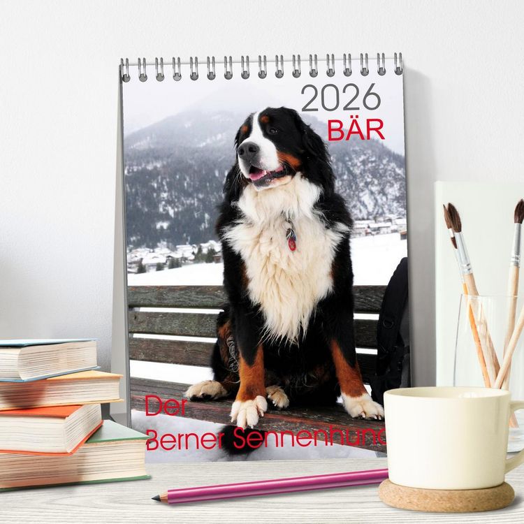 Produktbild: B&Auml;R - Der Berner Sennenhund (Tischkalender 2026 DIN A5 hoch), CALVENDO Monatskalender
