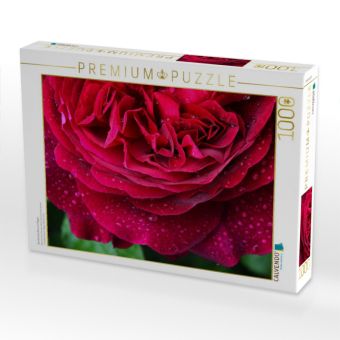 Produktbild: CALVENDO Puzzle Dunkelrote Rose im Regen | 1000 Teile Lege-Gr&ouml;&szlig;e 64x48cm Foto-Puzzle f&uuml;r gl&uuml;ckliche Stunden