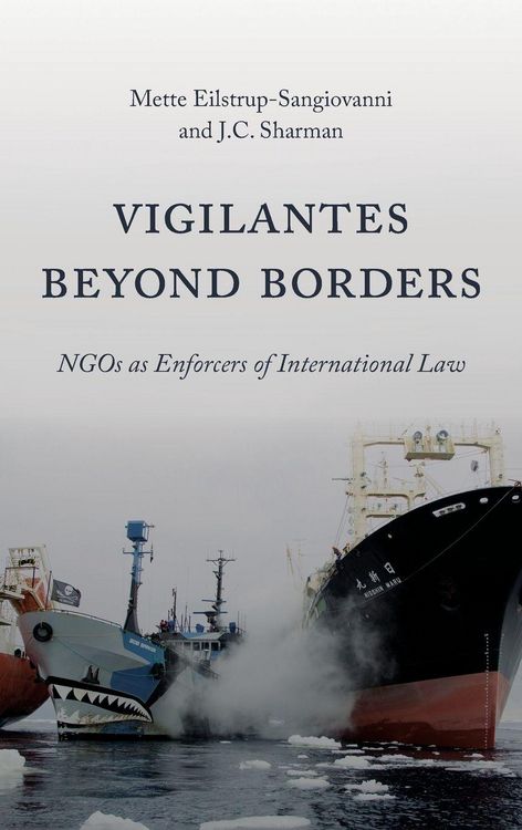 Produktbild: Vigilantes beyond Borders