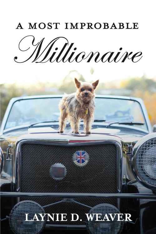 Produktbild: Most Improbable Millionaire