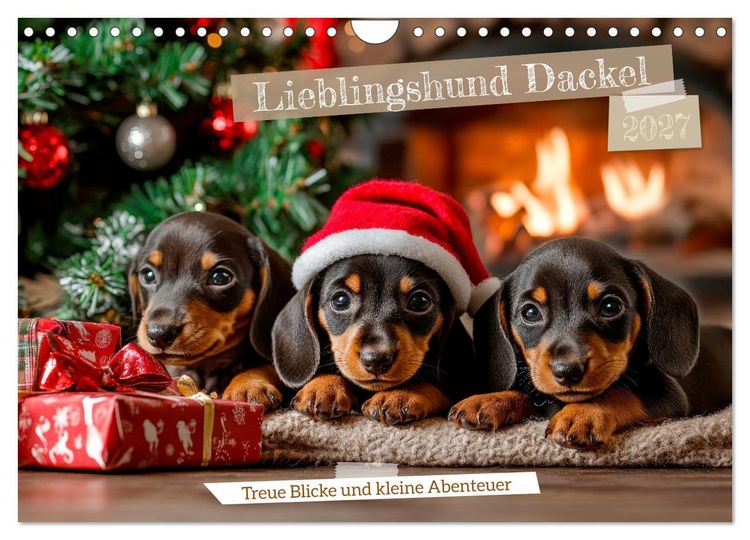 Produktbild: Lieblingshund Dackel (Wandkalender 2027 DIN A4 quer), CALVENDO Monatskalender