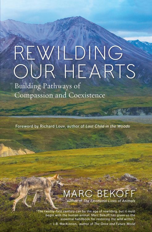 Produktbild: Rewilding Our Hearts