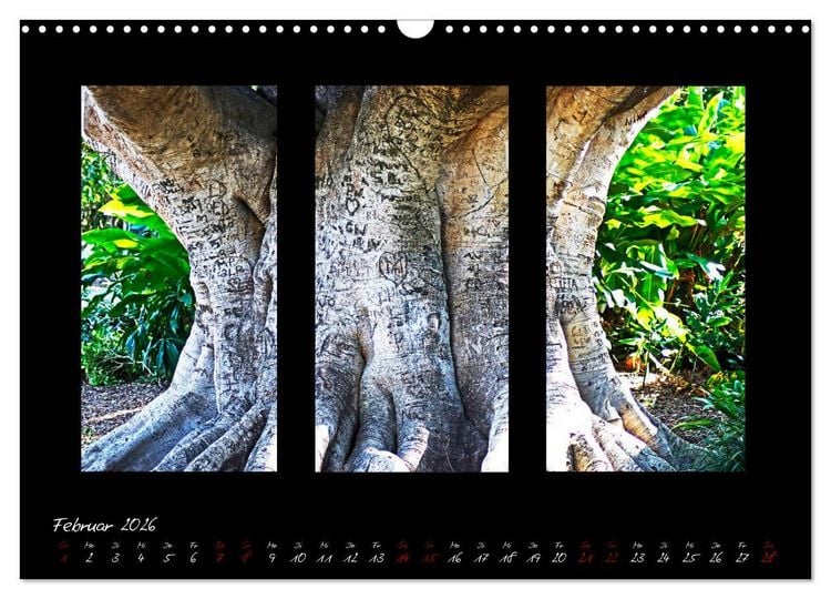 Produktbild: Die Kunst der Natur - Dreifach Stilvoll (Wandkalender 2026 DIN A3 quer), CALVENDO Monatskalender