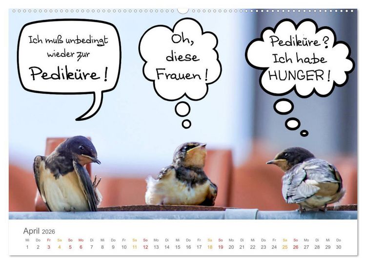 Produktbild: Wenn Schwalben reden (Wandkalender 2026 DIN A2 quer), CALVENDO Monatskalender