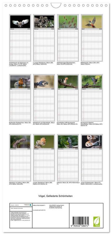 Produktbild: Familienplaner 2026 - V&ouml;gel, Gefiederte Sch&ouml;nheiten mit 5 Spalten (Wandkalender, 21 x 45 cm) CALVENDO