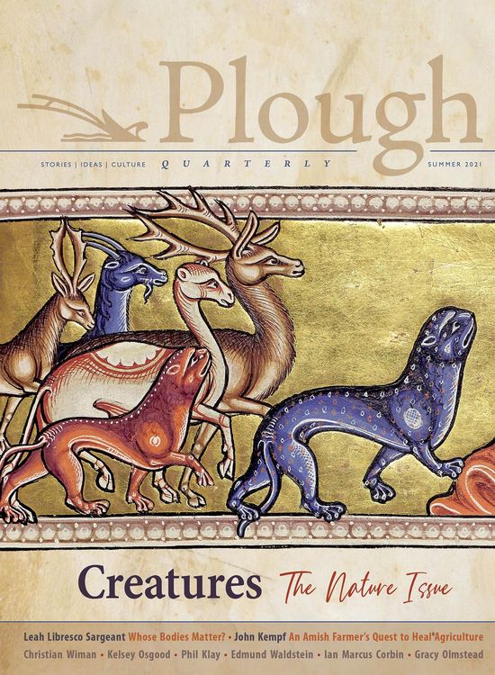 Produktbild: Plough Quarterly No. 28 - Creatures