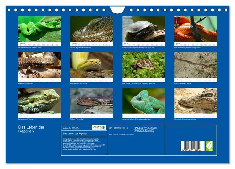 Produktbild: Das Leben der Reptilien (Wandkalender 2026 DIN A4 quer), CALVENDO Monatskalender