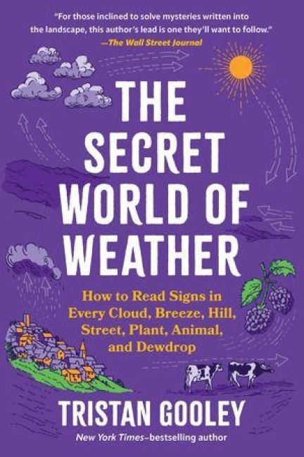 Produktbild: The Secret World of Weather