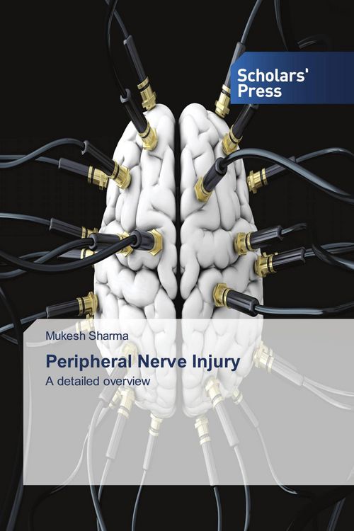 Produktbild: Peripheral Nerve Injury