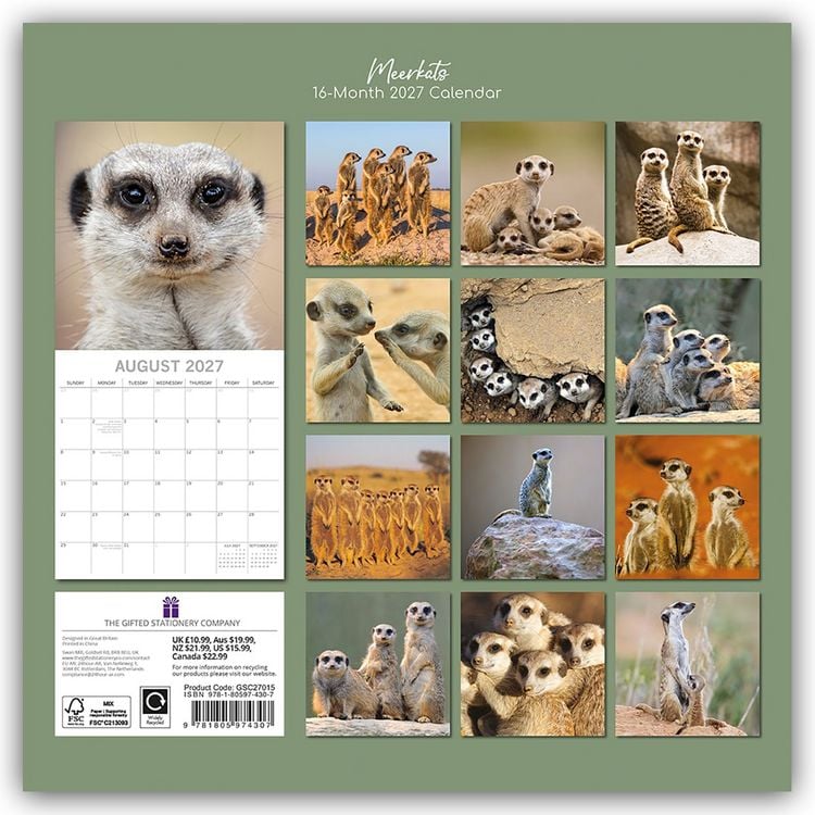 Produktbild: Meerkats &ndash; Erdm&auml;nnchen 2027 &ndash; 16-Monatskalender