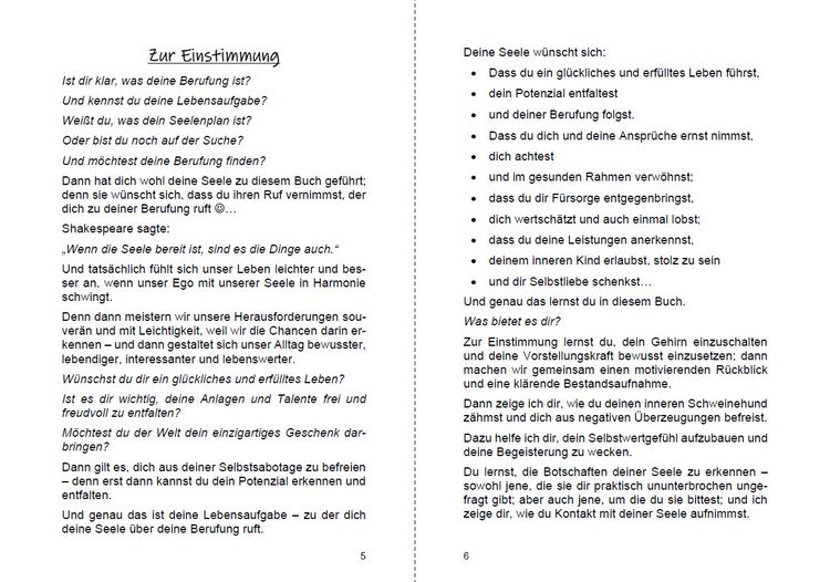 Produktbild: Finde deine Berufung und erf&uuml;lle deinen Seelenplan