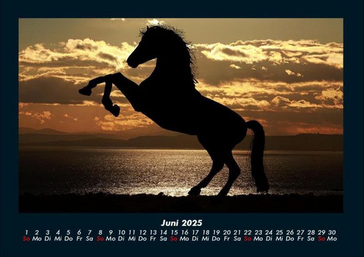 Produktbild: Die Welt der Pferde 2025 Fotokalender DIN A4