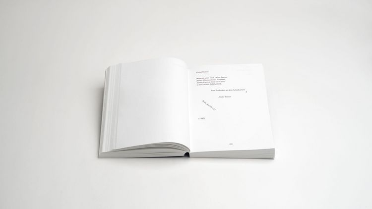 Produktbild: Andr&eacute; Butzer: Pressemitteilungen, Briefe, Gespr&auml;che, Texte, Gedichte