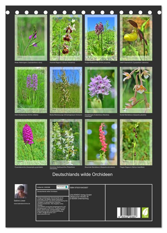 Produktbild: Deutschlands wilde Orchideen (Tischkalender 2026 DIN A5 hoch), CALVENDO Monatskalender