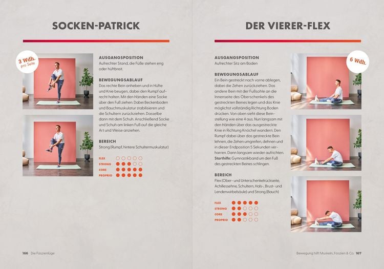 Produktbild: Die Faszienl&uuml;ge