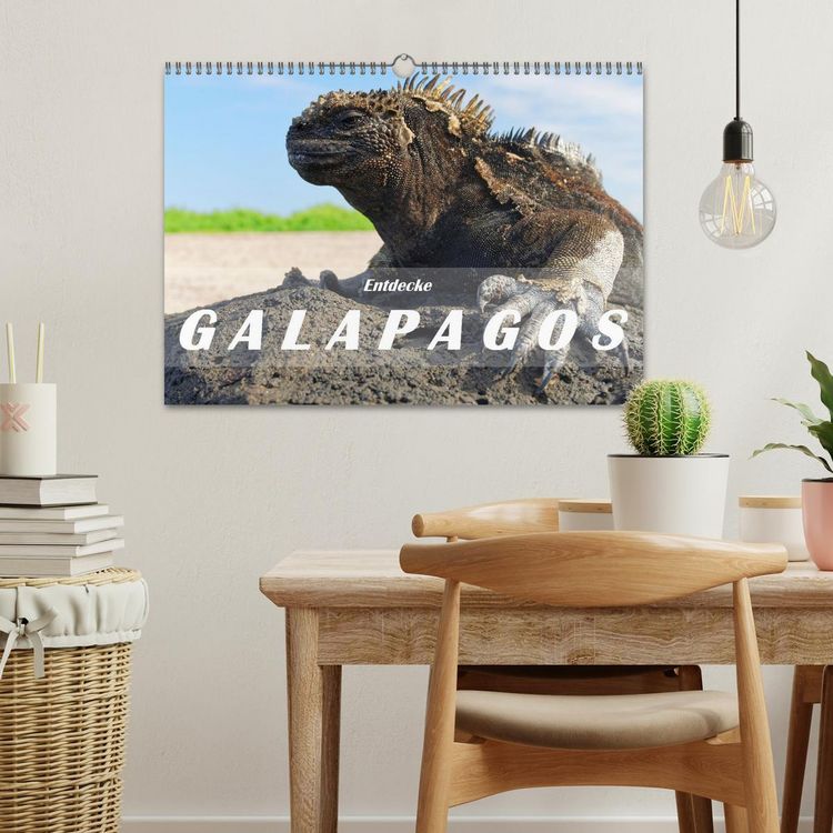 Produktbild: Entdecke Galapagos (Wandkalender 2026 DIN A3 quer), CALVENDO Monatskalender