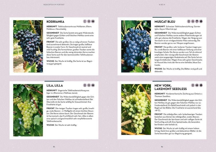 Produktbild: Wein im Garten anbauen & ernten