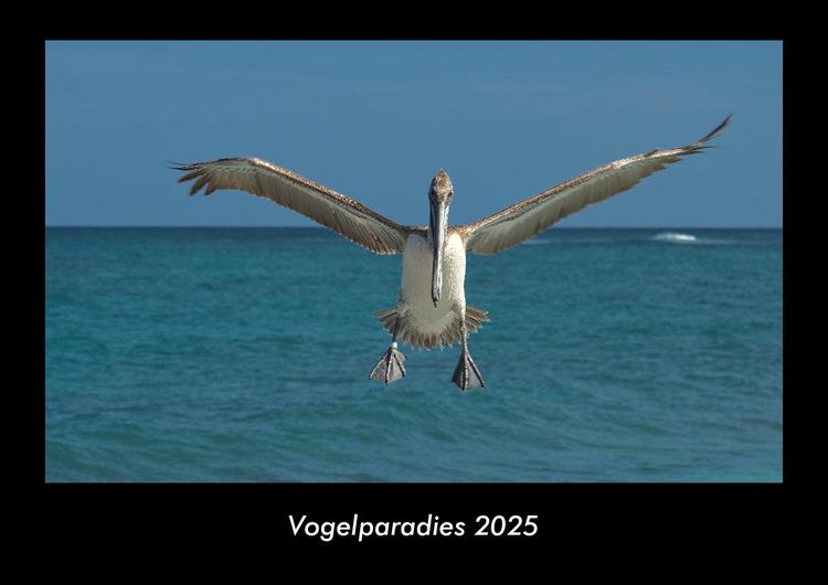 Produktbild: Vogelparadies 2025 Fotokalender DIN A3