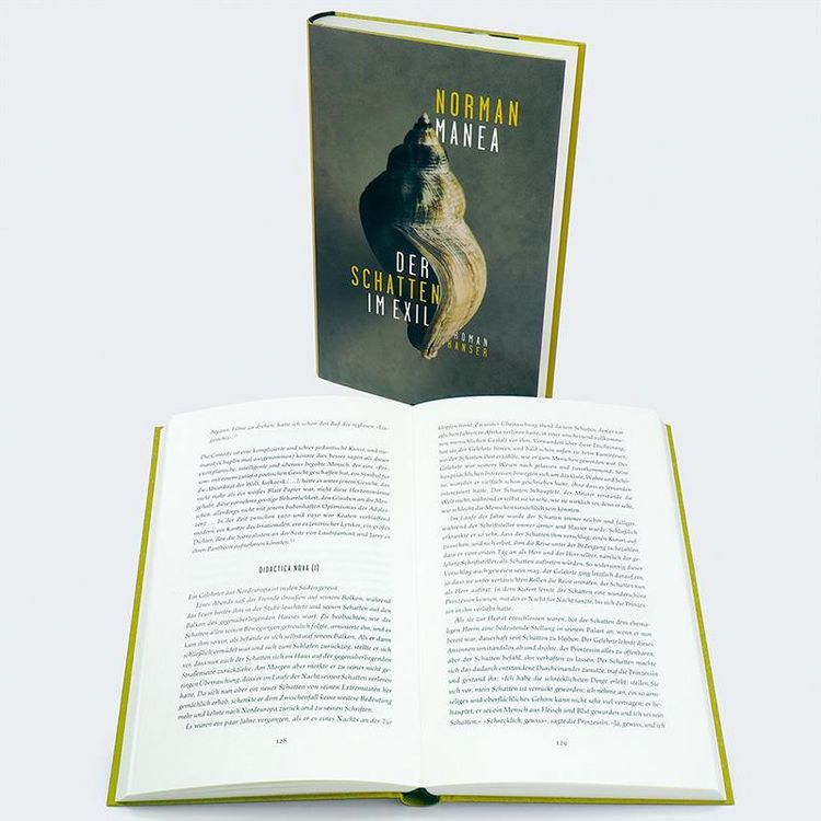 Produktbild: Der Schatten im Exil