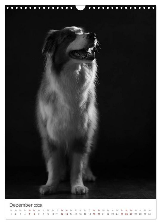 Produktbild: Fine Art Hundeportraits (Wandkalender 2026 DIN A3 hoch), CALVENDO Monatskalender