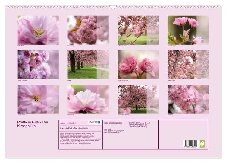 Produktbild: Pretty in Pink - Die Kirschbl&uuml;te (Wandkalender 2027 DIN A2 quer), CALVENDO Monatskalender
