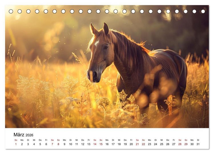 Produktbild: Wilde M&auml;hnen: Ein Jahr mit Pferden (Tischkalender 2026 DIN A5 quer), CALVENDO Monatskalender