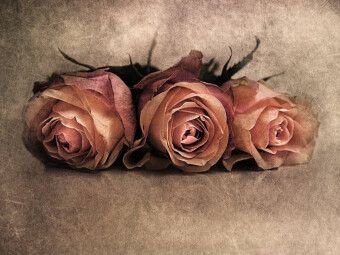 Produktbild: CALVENDO Puzzle hope | 1000 Teile Lege-Gr&ouml;&szlig;e 64x48cm Foto-Puzzle f&uuml;r gl&uuml;ckliche Stunden