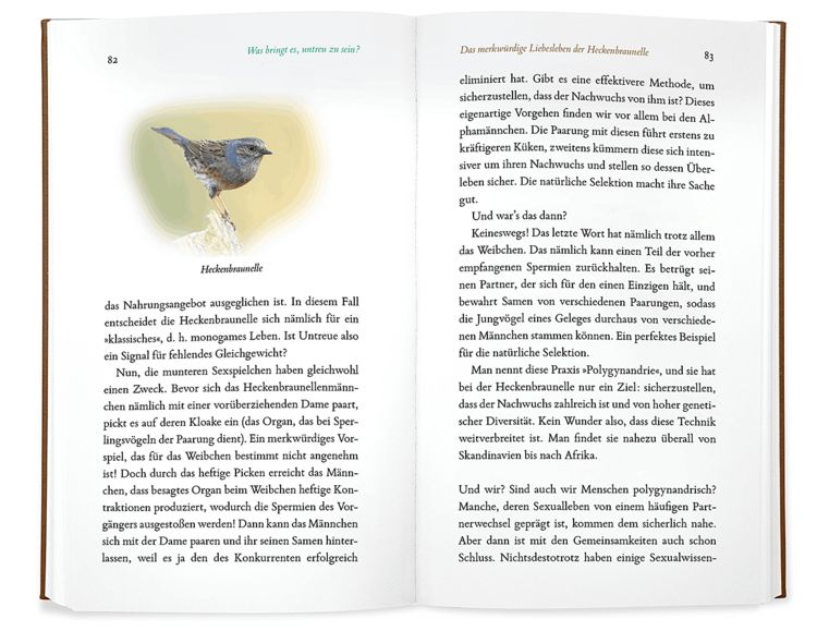Produktbild: Kleine Philosophie der V&ouml;gel