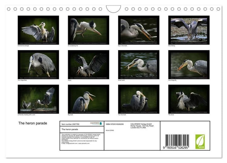 Produktbild: The heron parade (Wall Calendar 2026 DIN A4 landscape), CALVENDO 12 Month Wall Calendar
