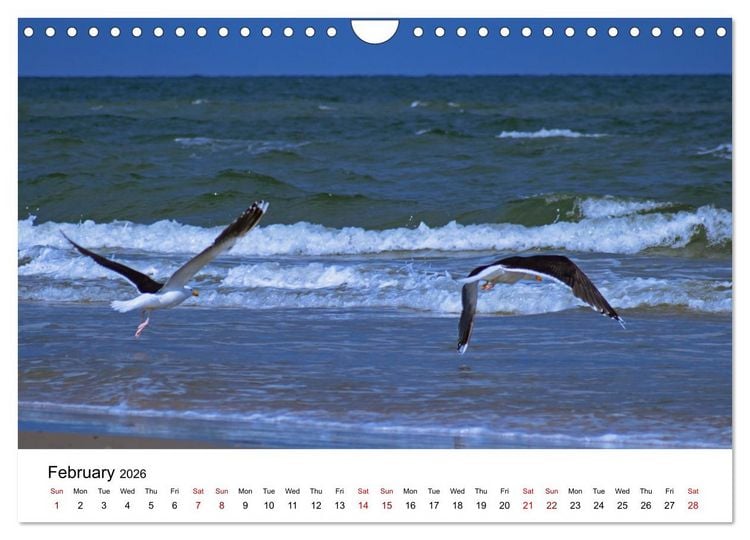 Produktbild: The Sea - A place for dreams (Wall Calendar 2026 DIN A4 landscape), CALVENDO 12 Month Wall Calendar