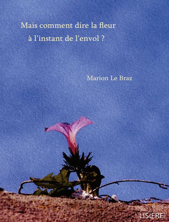 Produktbild: Mais comment dire la fleur &agrave; l'instant de l'envol ?