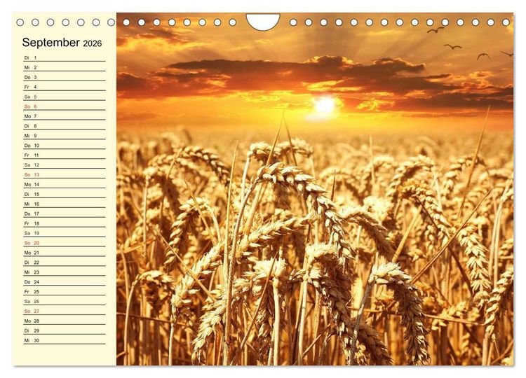 Produktbild: Bier. Die Kunst des Bierbrauens. Impressionen (Wandkalender 2026 DIN A4 quer), CALVENDO Monatskalender
