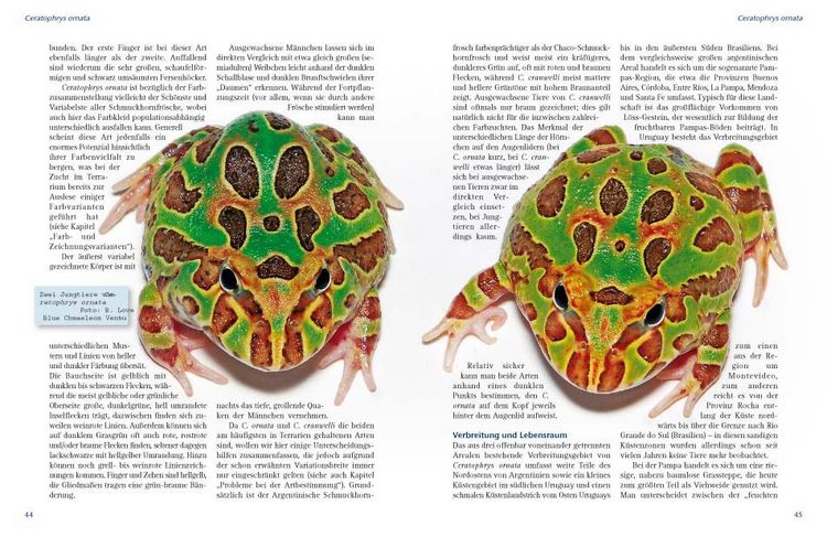 Produktbild: Schmuckhornfr&ouml;sche - Die Gattung Ceratophrys