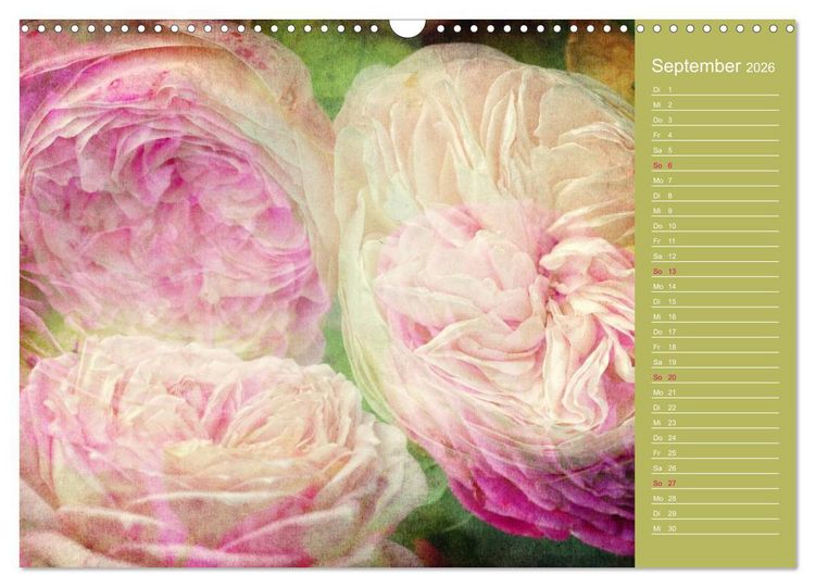 Produktbild: Romantische Rosen (Wandkalender 2026 DIN A3 quer), CALVENDO Monatskalender