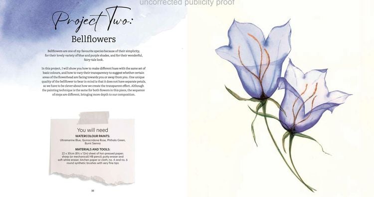Produktbild: Aquarell trifft Bl&uuml;tenpoesie