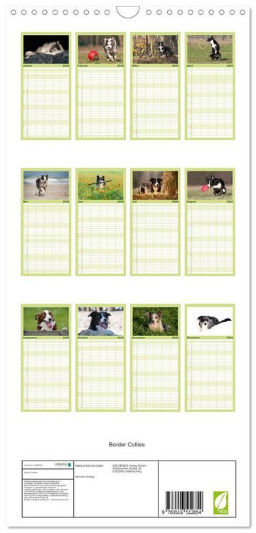 Produktbild: Familienplaner 2026 - Border Collies mit 5 Spalten (Wandkalender, 21 x 45 cm) CALVENDO