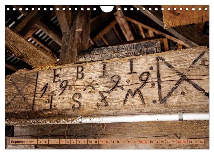 Produktbild: Das Element Holz - Ein Sinnbild (Wandkalender 2026 DIN A4 quer), CALVENDO Monatskalender