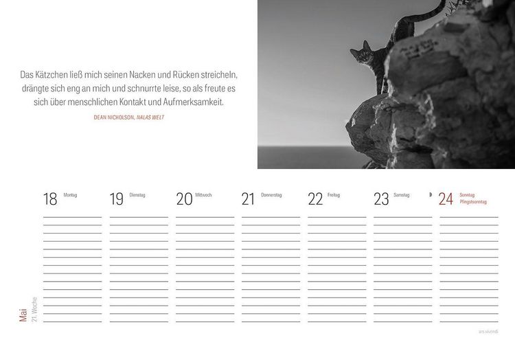 Produktbild: Tischkalender Katzen 2027