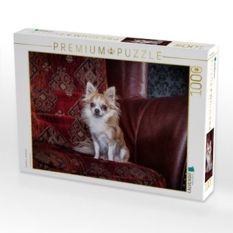 Produktbild: CALVENDO Puzzle Chihuahuas - Cool & nett | 1000 Teile Lege-Gr&ouml;&szlig;e 64x48cm Foto-Puzzle f&uuml;r gl&uuml;ckliche Stunden