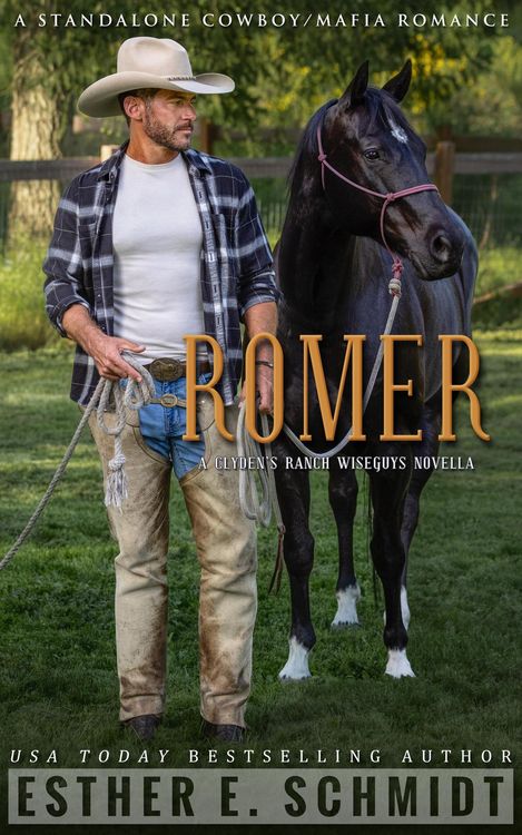 Produktbild: Romer: A Clyden's Ranch Wiseguys novella