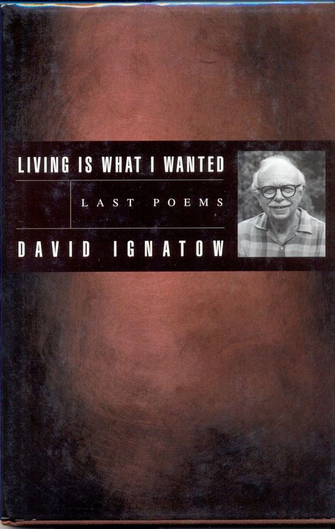 Produktbild: Living Is What I Wanted