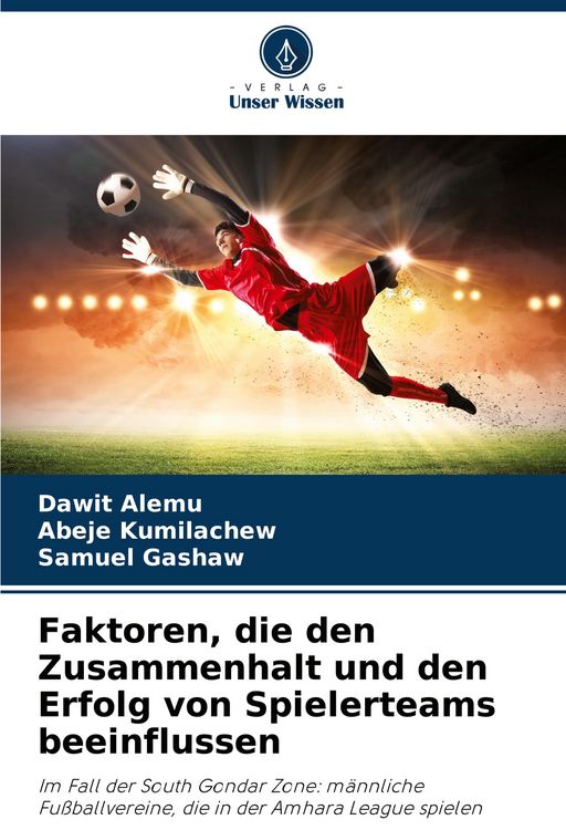Produktbild: Faktoren, die den Zusammenhalt und den Erfolg von Spielerteams beeinflussen