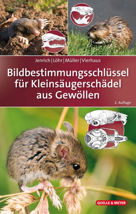 Produktbild: Bildbestimmungsschl&uuml;ssel f&uuml;r Kleins&auml;ugersch&auml;del aus Gew&ouml;llen