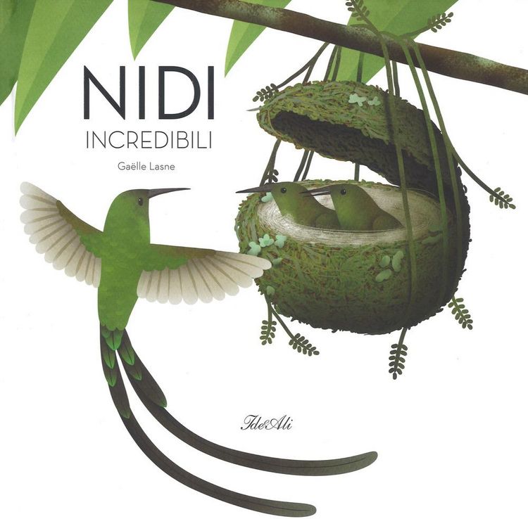 Produktbild: Nidi incredibili