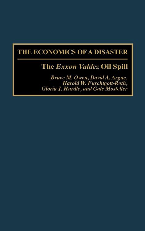 Produktbild: Economics of a Disaster