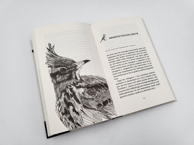 Produktbild: Wanderer zwischen den Welten