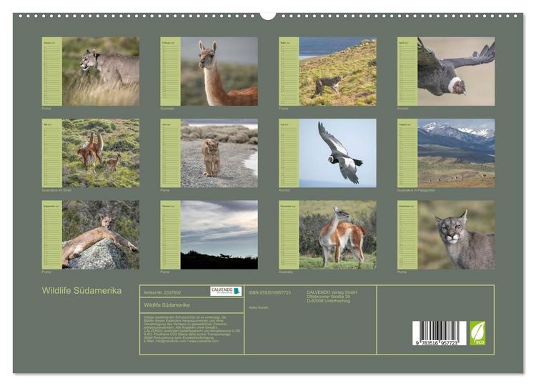 Produktbild: Wildlife S&uuml;damerika (hochwertiger Premium Wandkalender 2027 DIN A2 quer), Kunstdruck in Hochglanz