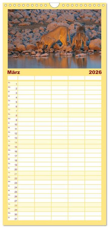 Produktbild: Familienplaner 2026 - Die Magie der K&ouml;nige der Tiere mit 5 Spalten (Wandkalender, 21 x 45 cm) CALVENDO