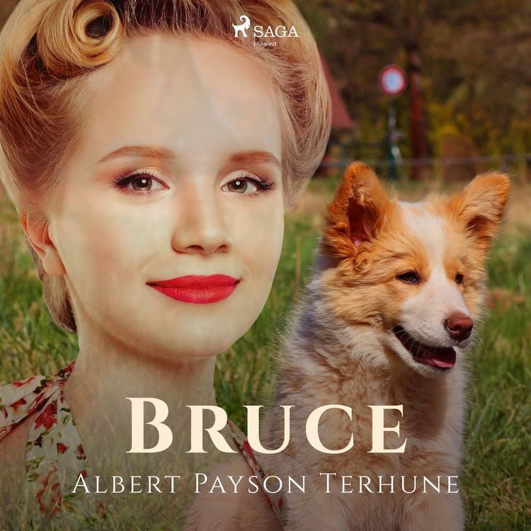 Produktbild: Bruce